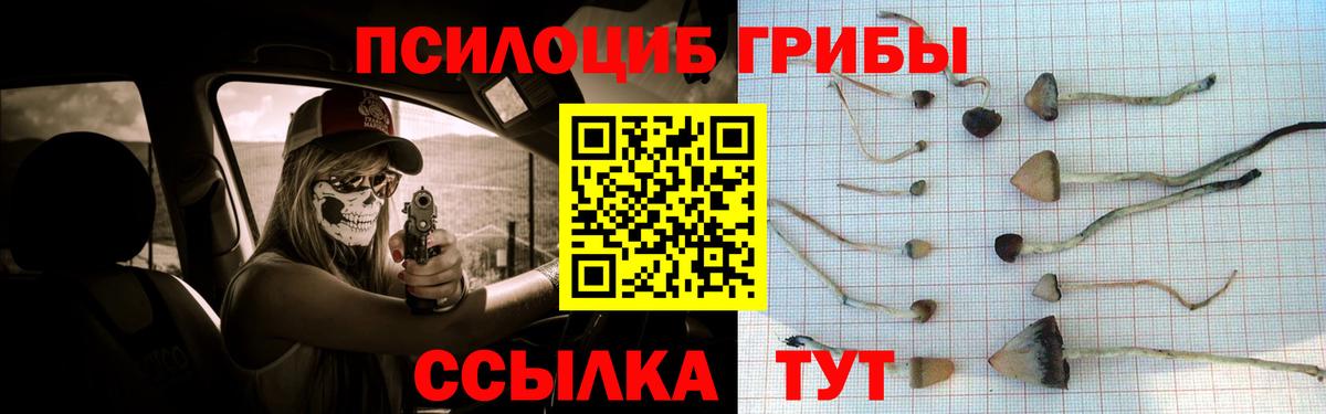 Псилоцибиновые грибы Psilocybe  Вход с VPN  Самара 